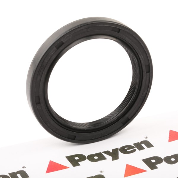 NJ005 PAYEN Crankshaft oil seal SMART NBR (nitrile butadiene rubber)