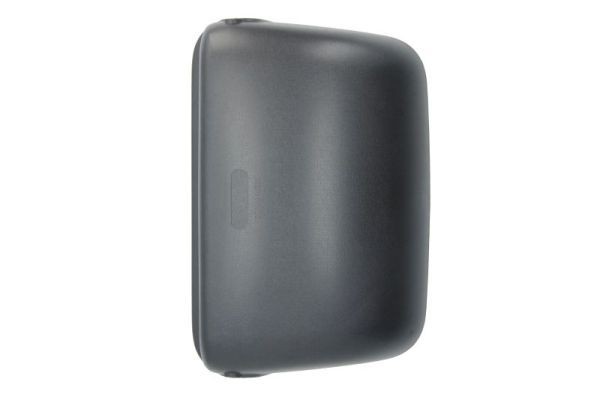 PACOL RVI-MR-002 Cover, outside mirror 1736884