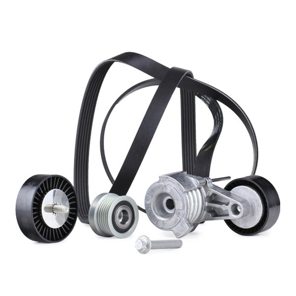 INA 529003110 V-Ribbed Belt Set Pulleys: with freewheel belt pulley, Check alternator freewheel clutch & replace if necessary