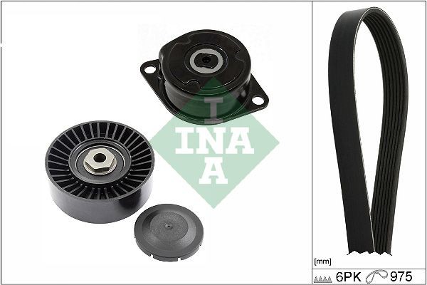 INA 529 0089 10 V-Ribbed Belt Set Check alternator freewheel clutch & replace if necessary
