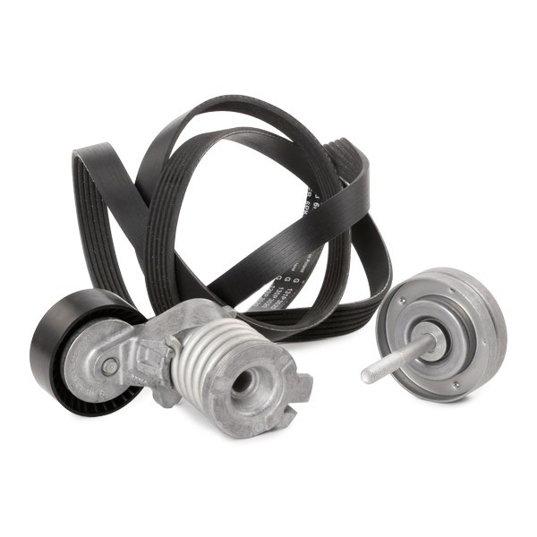 529009010 Serpentine belt kit 529 0090 10 INA Check alternator freewheel clutch & replace if necessary