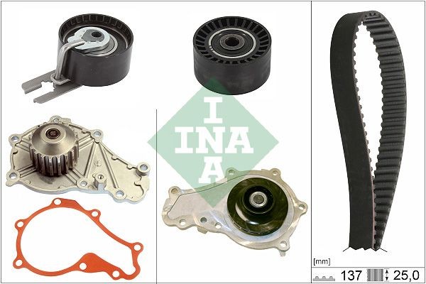 INA 530063230 Water pump and timing belt kit Y60312201