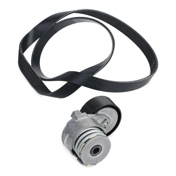 INA 529000910 V-Ribbed Belt Set Check alternator freewheel clutch & replace if necessary