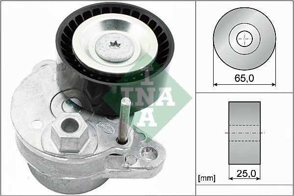 INA 534054010 Tensioner pulley 276 200 0170