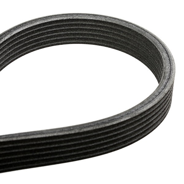 INA Auxiliary belt kit 529 0032 10 buy online