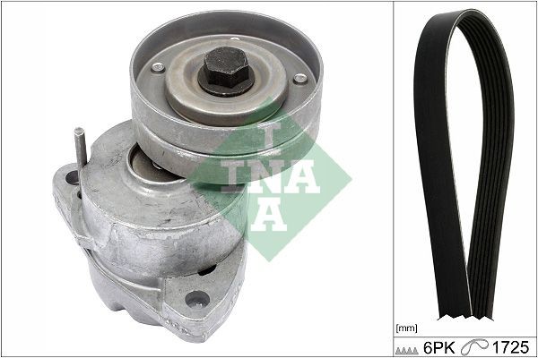 INA Check alternator freewheel clutch & replace if necessary Length: 1725mm, Number of ribs: 6 Serpentine belt kit 529 0095 10 buy
