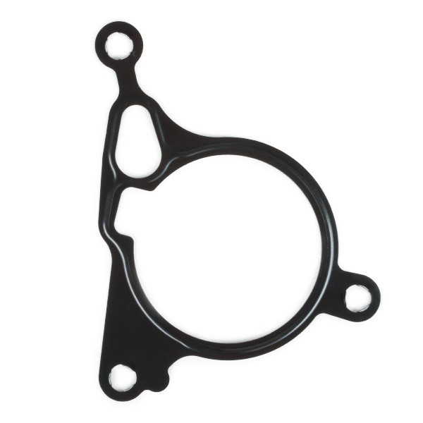 226460 Gasket, vacuum pump ELRING 226.460 review and test