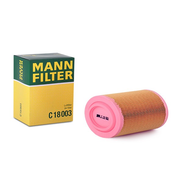 Ventilazione Basamento Filtro Mann Filter C 118