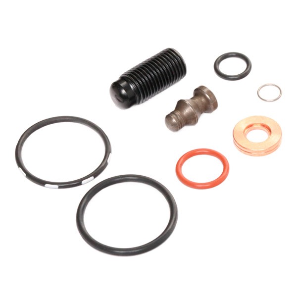 153864203 Repair Kit, pump-nozzle unit REINZ 15-38642-03 review and test