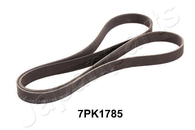 JAPANPARTS DV-7PK1785 Serpentine belt 1785mm, 7