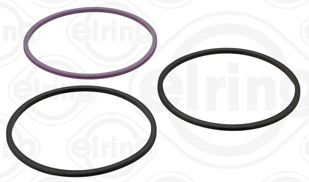 ELRING O-Ring Set, cylinder sleeve 308.930 buy
