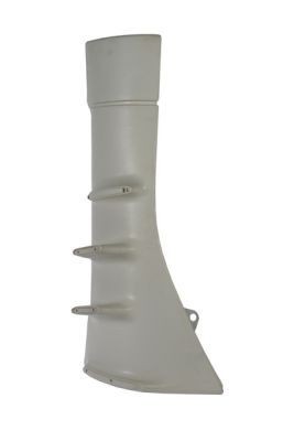 PACOL IVE-CP-005R Windabweiser für IVECO Stralis LKW in Original Qualität