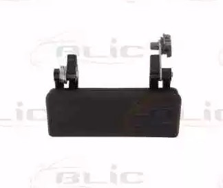 6010-03-025417PP BLIC Türgriff hinten, schwarz für FORD TRANSIT ▷ AUTODOC  Preis und Erfahrung