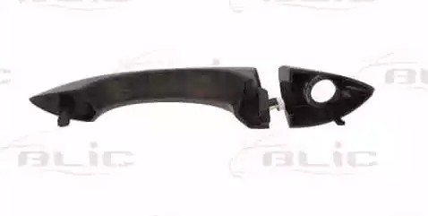 6010-05-014401P BLIC Türgriff vorne links für BMW E53 ▷ AUTODOC