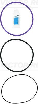 REINZ O-Ring Set, cylinder sleeve 15-42947-01 buy