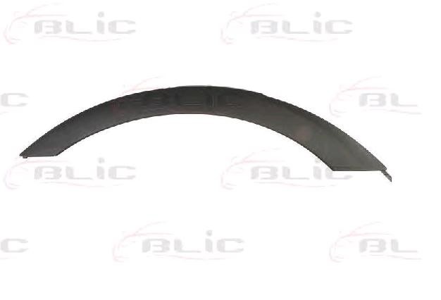 BLIC Right Rear Trim / Protective Strip, mudguard 5703-04-0093596P buy