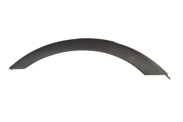 BLIC Trim / Protective Strip, mudguard 5703-04-0093596P for BMW X3 E83