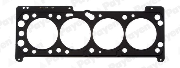 Great value for money - PAYEN Gasket, cylinder head AB5540