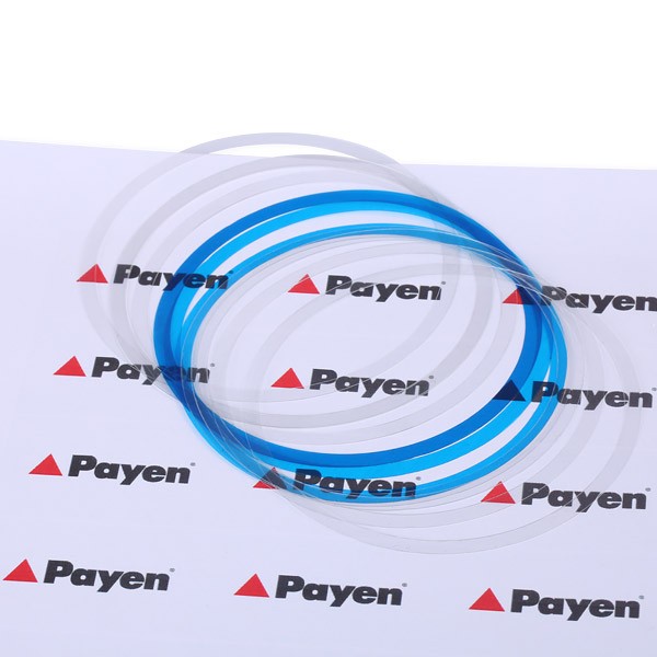PAYEN O-Ring Set, cylinder sleeve HR350 buy