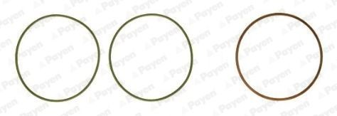 PAYEN O-Ring Set, cylinder sleeve HT5038 buy
