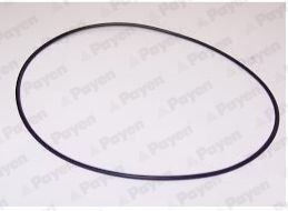 PAYEN O-Ring, cylinder sleeve KH226 buy