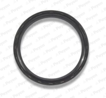 Crank oil seal PAYEN FPM (fluoride rubber) - NA5298