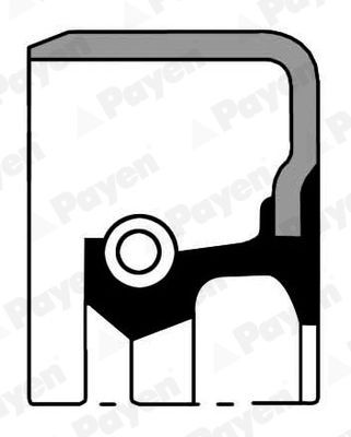 PAYEN FPM (fluoride rubber) Inner Diameter: 66mm Shaft seal, crankshaft NB967 buy