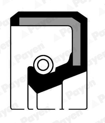 PAYEN Differential seal NF044 buy