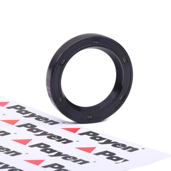 PAYEN Differential oil seal NF369