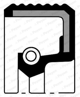 Opel COMBO Camshaft seal 7946096 PAYEN NJ321 online buy