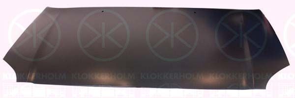 KLOKKERHOLM Hood 8161283 buy