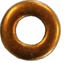 DELPHI Seal Ring, injector shaft 9001-850C