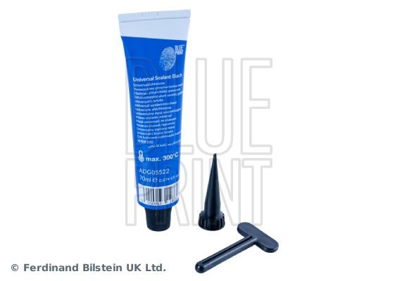 BLUE PRINT ADG05522 Deflection / Guide Pulley, v-ribbed belt 000000-