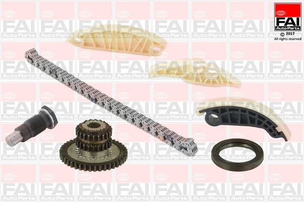 Great value for money - FAI AutoParts Timing chain kit TCK177