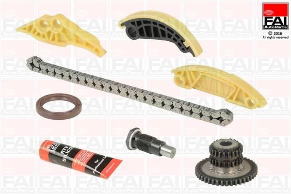Great value for money - FAI AutoParts Timing chain kit TCK179