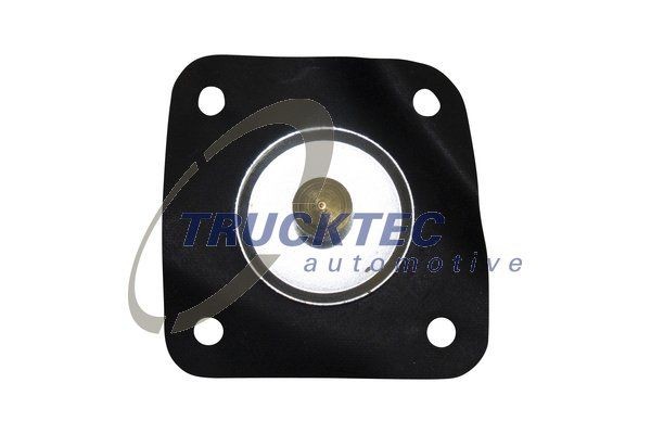 TRUCKTEC AUTOMOTIVE Diaphragm, carburettor 02.13.011 buy
