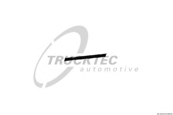 Great value for money - TRUCKTEC AUTOMOTIVE Door molding 02.52.116