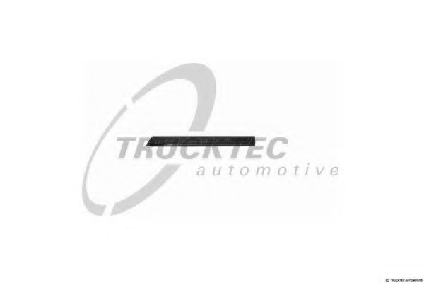 Great value for money - TRUCKTEC AUTOMOTIVE Door molding 02.52.117