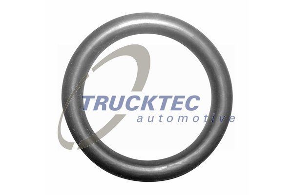 Gasket, coolant flange TRUCKTEC AUTOMOTIVE 08.10.041 - BMW 3 Coupe (E36) Pipes and hoses spare parts order