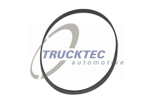 TRUCKTEC AUTOMOTIVE Gasket, thermostat housing 08.10.044 buy