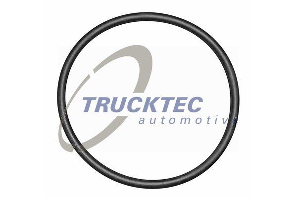 TRUCKTEC AUTOMOTIVE 08.10.069 Thermostat gasket BMW X5 2006 in original quality
