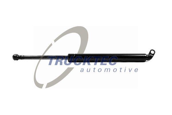 BMW 7 Series Tailgate strut TRUCKTEC AUTOMOTIVE 08.62.013 cheap