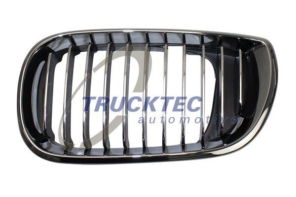 TRUCKTEC AUTOMOTIVE 0862298 Front grille BMW 3 Saloon (E46) 316 i 115 hp Petrol 2005