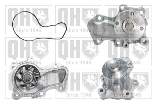 QUINTON HAZELL QCP3644 Water pump with gaskets/seals