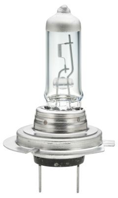 HELLA 8GH 007 157-186 Abblendlicht-Glühlampe für MULTICAR Fumo LKW in Original Qualität