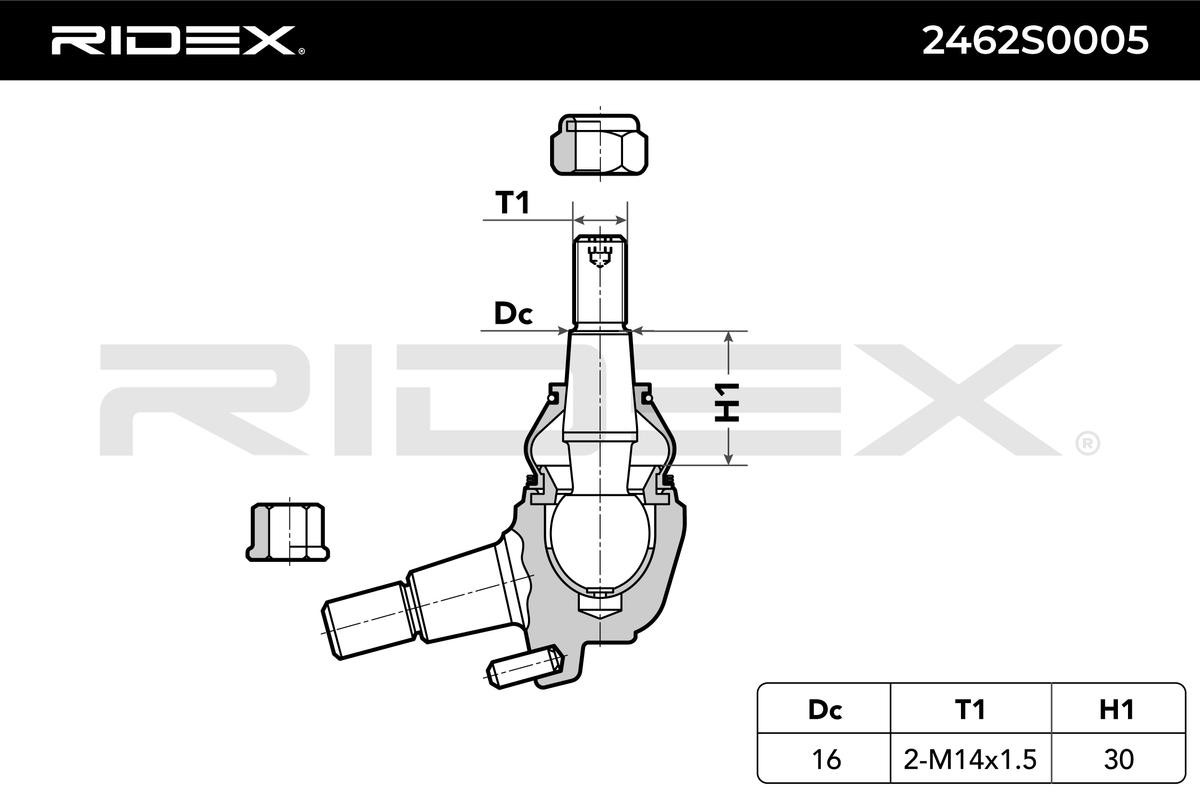RIDEX Ball joint in suspension 2462S0005