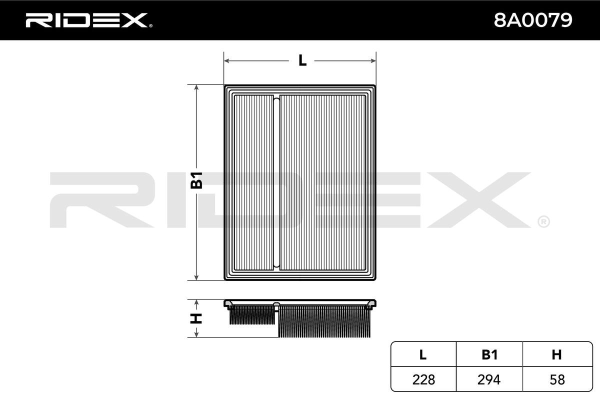 RIDEX Engine filter 8A0079 buy online