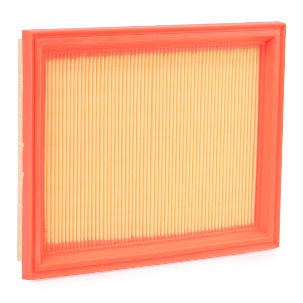 8A0043 Engine air filter RIDEX 8A0043 review and test