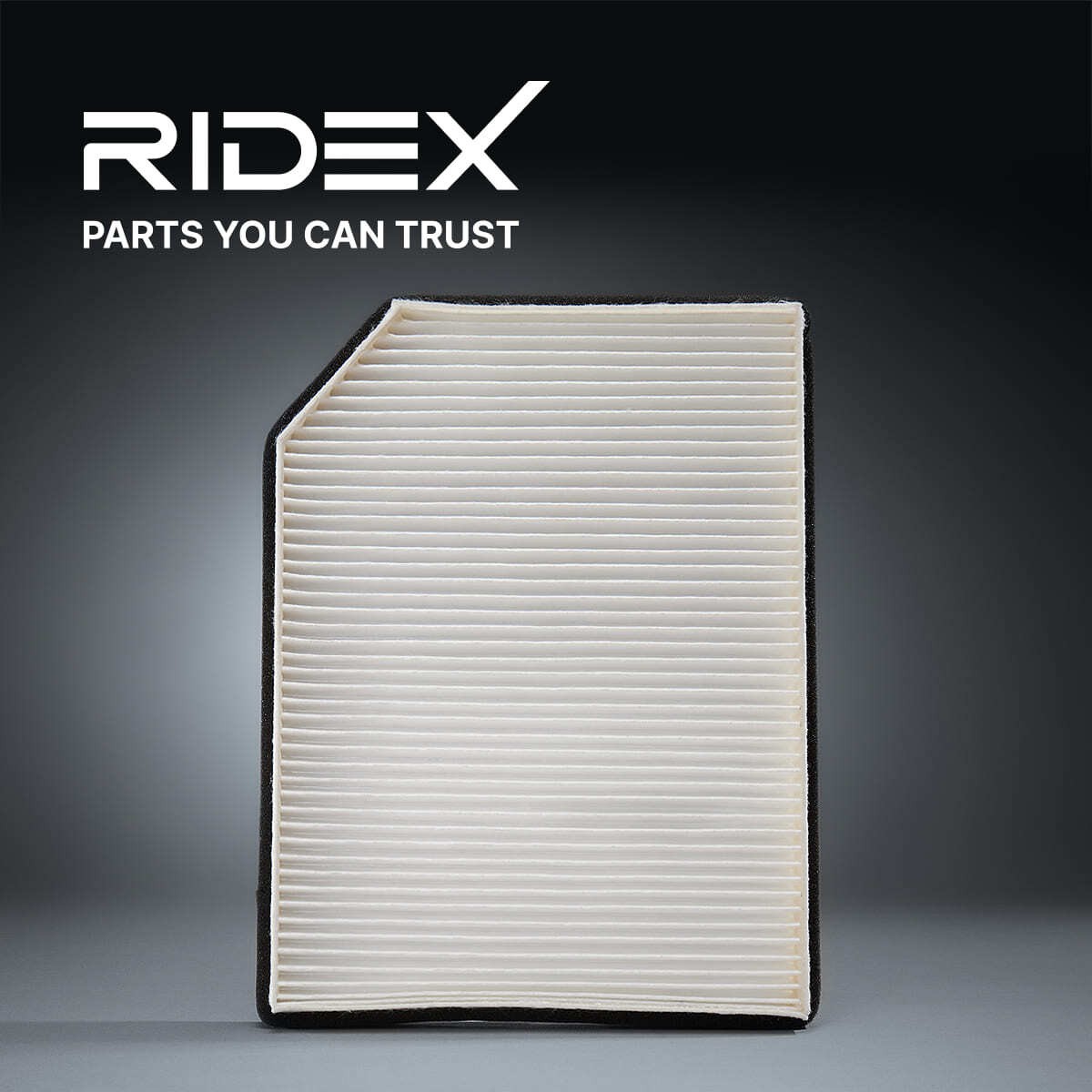 RIDEX 424I0223 Air conditioner filter Activated Carbon Filter, 255 mm x 252 mm x 36 mm