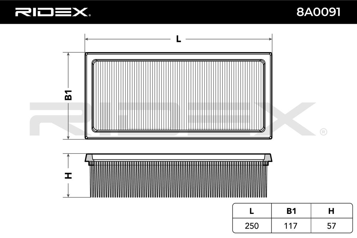 8A0091 Engine air filter RIDEX 8A0091 review and test